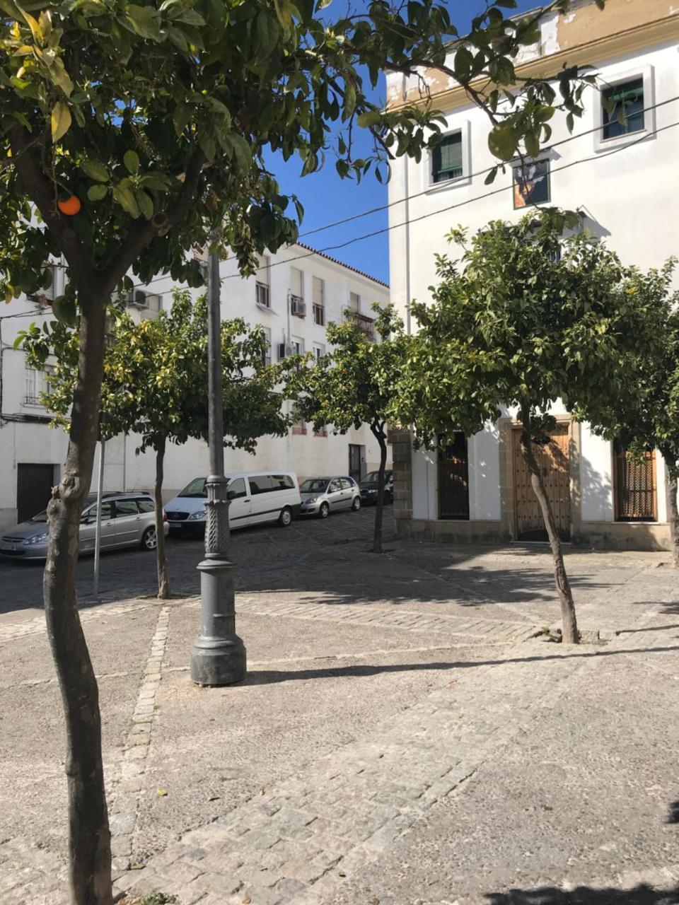 חרז Apartamento !!Vive Jerez!! מראה חיצוני תמונה